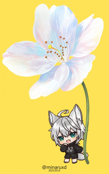 小白