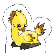 【FF14】小陸行鳥 飯友