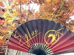 Sylus折扇