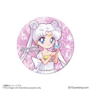 閃閃胸章 希蕾妮蒂公主（原作衣裝Ver.）