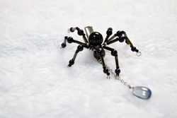 蜘蛛髮夾－黑蛛