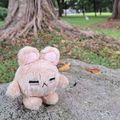 《手作》熊球 娃娃