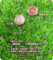 小魔女DoReMI 圓圓款+花花款 香薰扣