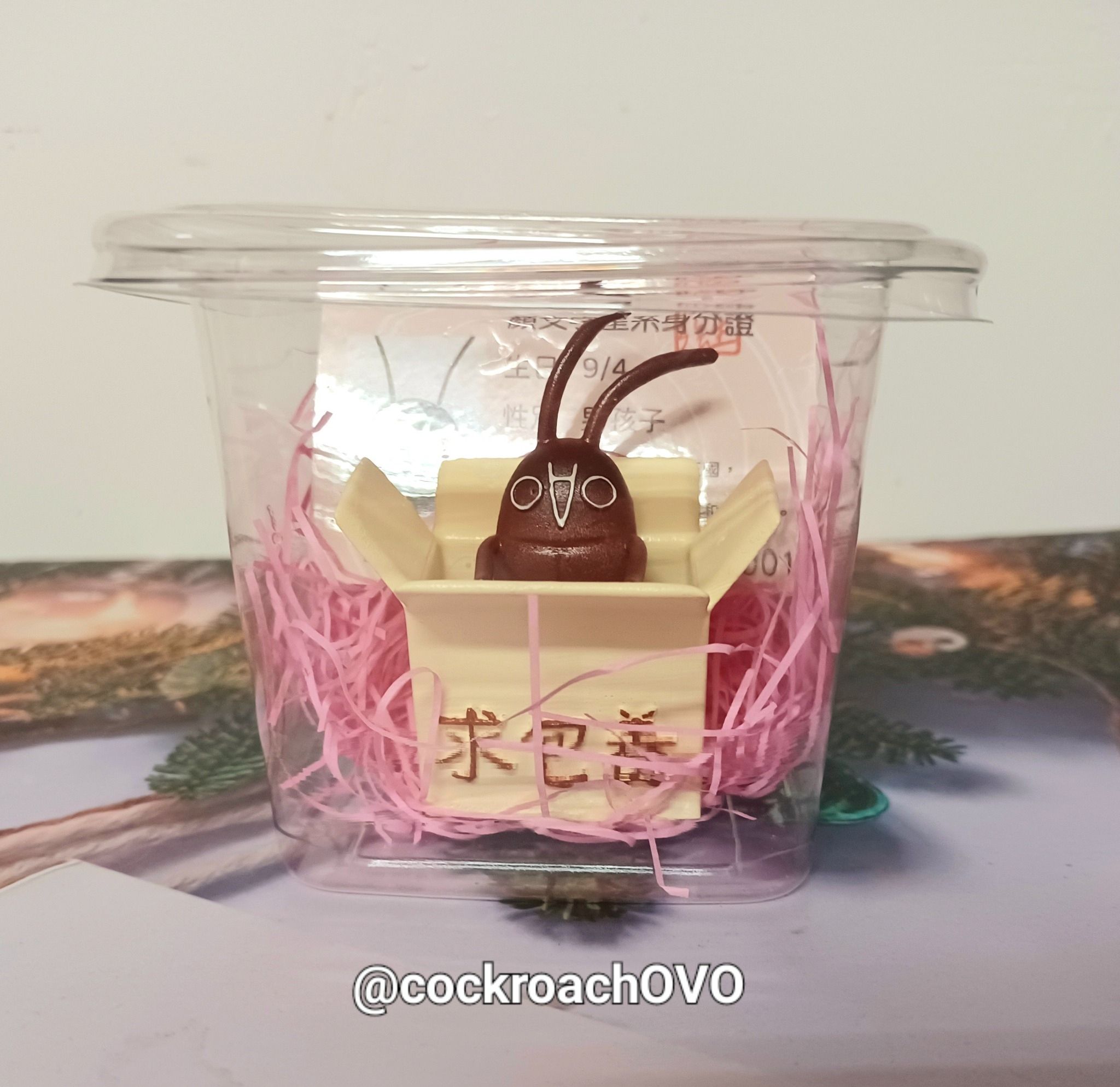 求包養小強公仔