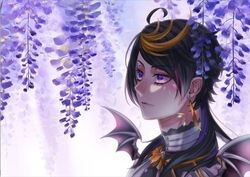 紫藤花
