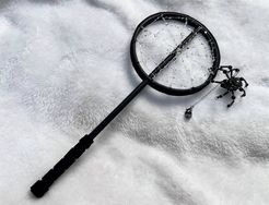 蜘蛛網扇（不含蜘蛛）