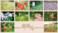 北海道自然系明信片❖十張一組