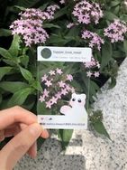 ［新世界狂歡］托帕 ig風拍照透卡
