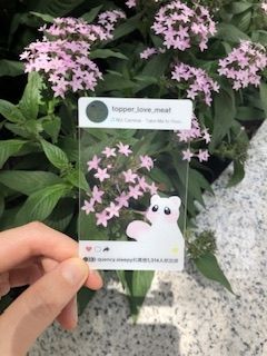 ［新世界狂歡］托帕 ig風拍照透卡