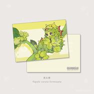 昆蟲少女 燕灰蝶幼蟲 明信片