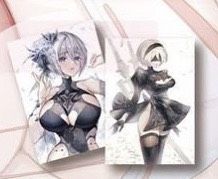2B明信片組