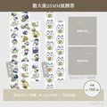 膽大黨25MM紙膠帶