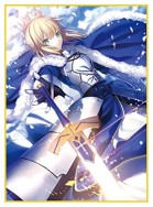 セイバー sleeve set　卡套