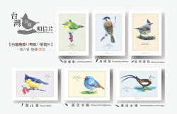 【森生物實驗誌】台灣鳥類明信片1