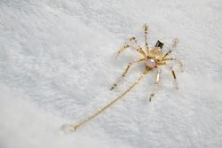 蜘蛛髮夾－櫻花瑪瑙（金）