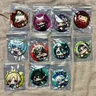 星穹鐵道、原神、碧藍檔案、hololive、孤獨搖滾、等絨毛胸章