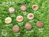 【爬爬室友】爬寵爬蟲小徽章 第一彈