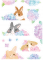 兔*紫陽花 壁貼