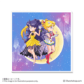 【台灣限定商品】無框畫 Super Sailor Moon＆人間露娜