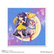 【台灣限定商品】無框畫 Super Sailor Moon＆人間露娜