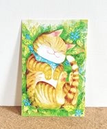 懶洋洋小橘貓 /雙面明信片postcard