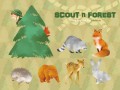 SCOUT n FOREST