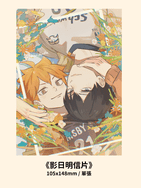 【排球少年】《Blossom》影日明信片