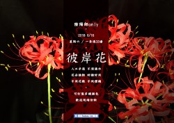 彼岸花《陰陽師only-一条通33番》