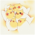 玄鳳眼鏡布