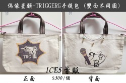 偶像星願-TRIGGERG手提包