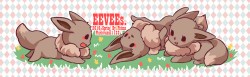 【神奇寶貝無料】EEVEEs