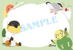 鳥寶愛搗蛋便條紙