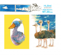 【原創明信片】Hi，Bird 鳥系列明信片