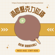 肌異鳥滴膠壓克力磁鐵