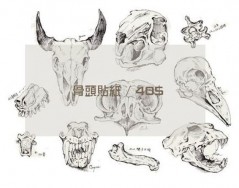 各種動物的骨頭貼紙