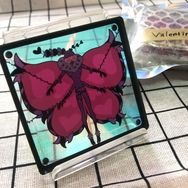 Val蝴蝶標本風格 彩虹膜厚飯友