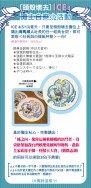 [YGO]海馬社長與白嫁-無料紙杯墊