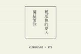 《琥珀色的夏天凝結著你》Tsubasa翼黑法試閱手冊