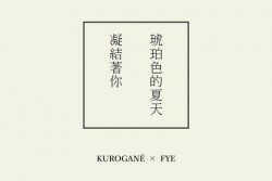 《琥珀色的夏天凝結著你》Tsubasa翼黑法試閱手冊