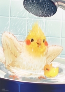濕身鳥陪洗澡A2浴室海報