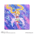 【台灣限定商品】無框畫 Super Sailor Moon