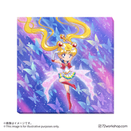 【台灣限定商品】無框畫 Super Sailor Moon