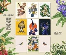 【原創】台灣原生鳥類擬人明信片