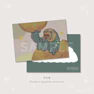 昆蟲少女 玳灰蝶幼蟲 明信片