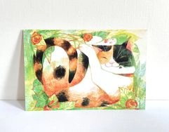 懶洋洋三色貓 /雙面明信片postcard