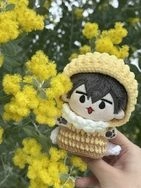海星體！