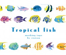 Tropical fish