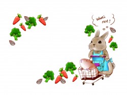 鼠兔購物