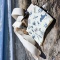 【水行俠失落王國】黑蝠沈奶茶提袋