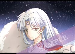 【犬夜叉】《星空下的殺生丸》明信片